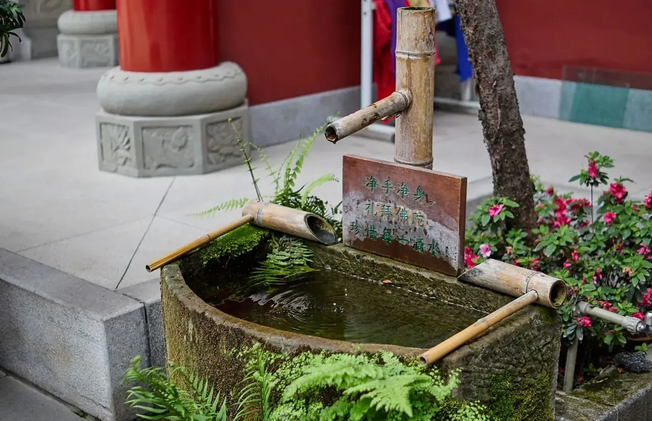 苔むした手水鉢と草花のある庭の一角