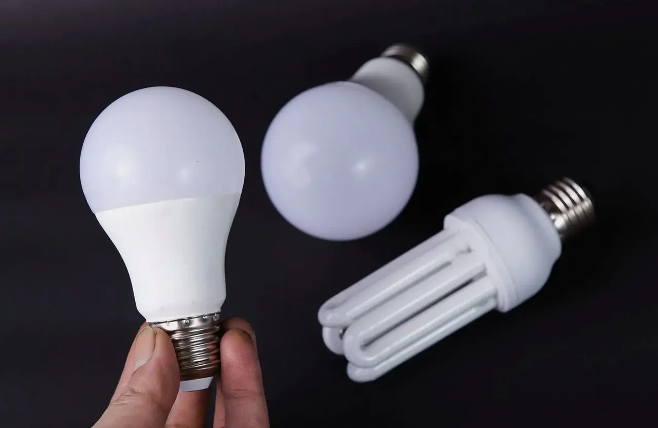 黒い背景に置かれた、LED電球と電球形蛍光灯のクローズアップ