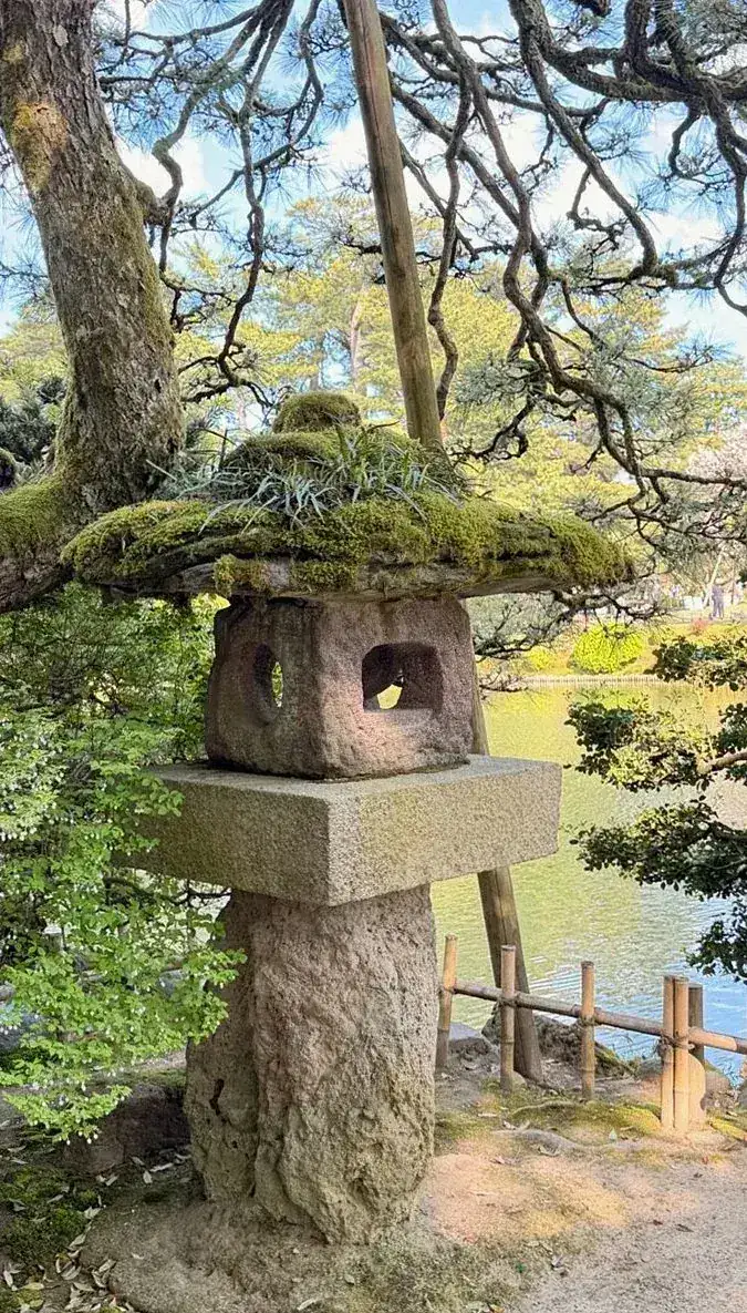 池のほとりに立つ、苔の生えた石灯籠と松